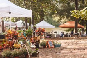 Fall Events in Jones County Mississippi at Cotton Gin Market