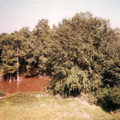 Devils den - leaf river